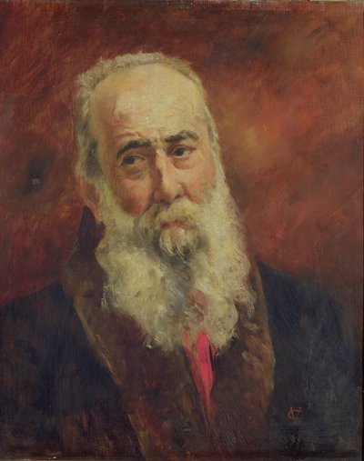 Kardinaal Charles Lavigerie (1825-92) Aartsbisschop van Algerije door French School